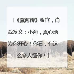 《藏海传》收官，肖战发文：小海，真心地为你开心！你看，有这么多人懂你！
