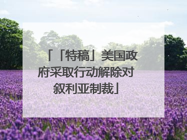 「特稿」美国政府采取行动解除对叙利亚制裁