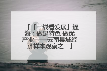「一线看发展」通海：做足特色 做优产业——云南县域经济样本观察之二