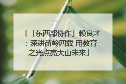 「东西部协作」赖良才：深耕苗岭四载 用教育之光点亮大山未来