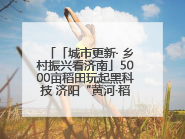 「城市更新· 乡村振兴看济南」5000亩稻田玩起黑科技 济阳“黄河·稻乡湾”靠“非遗+露营”火出圈