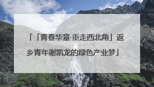 「青春华章·重走西北角」返乡青年谢凯龙的绿色产业梦