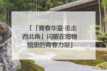 「青春华章·重走西北角」闪耀在博物馆里的青春力量