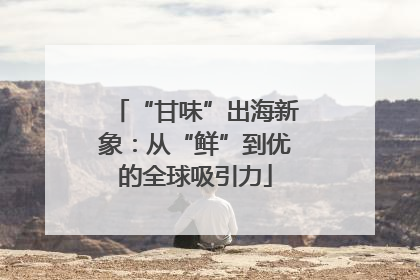 “甘味”出海新象：从“鲜”到优的全球吸引力