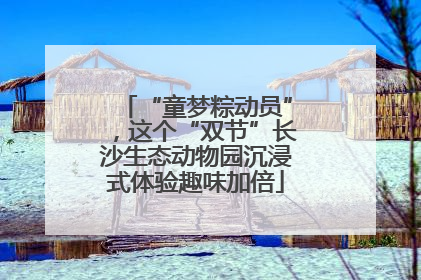 “童梦粽动员”，这个“双节”长沙生态动物园沉浸式体验趣味加倍