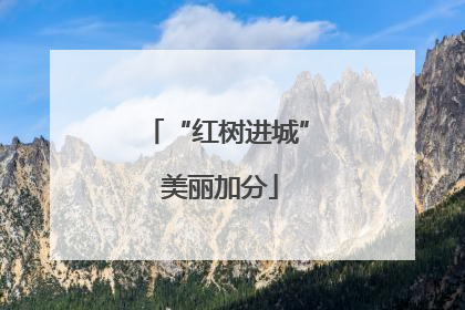“红树进城” 美丽加分