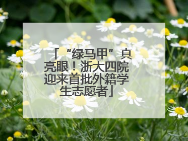 “绿马甲”真亮眼！浙大四院迎来首批外籍学生志愿者