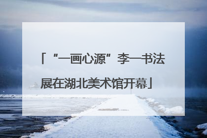 “一画心源”李一书法展在湖北美术馆开幕