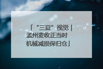 “三夏”视觉｜孟州麦收正当时 机械减损保归仓