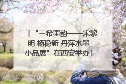 “三希墨韵——宋黎明 杨稳新 丹萍水墨小品展”在西安举办