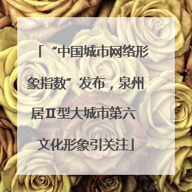 “中国城市网络形象指数”发布，泉州居Ⅱ型大城市第六 文化形象引关注