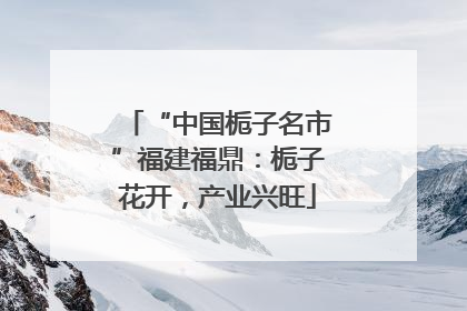 “中国栀子名市”福建福鼎：栀子花开，产业兴旺