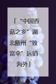 “中国香菇之乡”湖北随州“致富伞”远销海外
