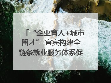 “企业育人+城市留才” 宜宾构建全链条就业服务体系促高校毕业生就业｜您牵挂的四川