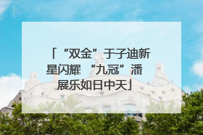 “双金”于子迪新星闪耀 “九冠”潘展乐如日中天