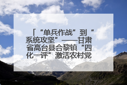 “单兵作战”到“系统攻坚”——甘肃省高台县合黎镇“四化一评”激活农村党员管理新引擎