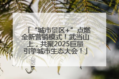 “城市景区+”点燃全新营销模式！武当山上，共聚2025巨量引擎城市生态大会！