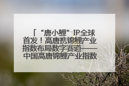 “唐小鲤”IP全球首发！高唐携锦鲤产业指数布局数字赛道——中国高唐锦鲤产业指数暨“唐小鲤”IP全球首发仪式在杭州举行
