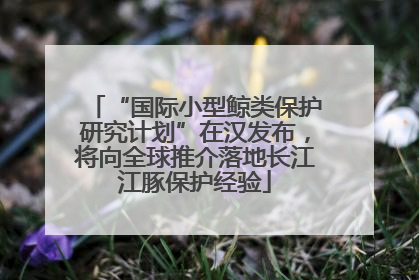 “国际小型鲸类保护研究计划”在汉发布，将向全球推介落地长江江豚保护经验