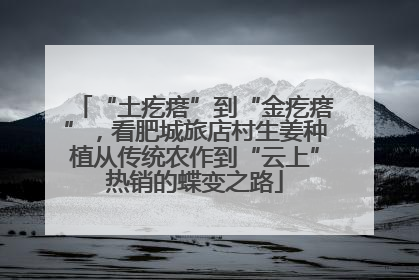 “土疙瘩”到“金疙瘩”，看肥城旅店村生姜种植从传统农作到“云上”热销的蝶变之路