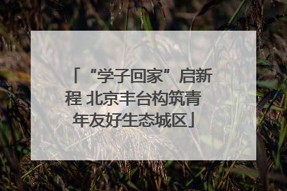 “学子回家”启新程 北京丰台构筑青年友好生态城区