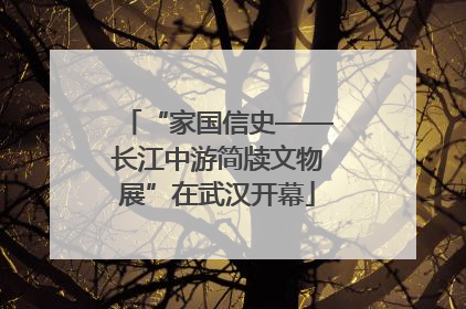“家国信史——长江中游简牍文物展”在武汉开幕