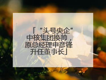 “头号央企”中核集团换帅，原总经理申彦锋升任董事长