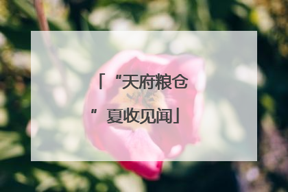 “天府粮仓”夏收见闻