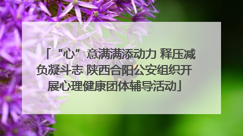 “心”意满满添动力 释压减负凝斗志 陕西合阳公安组织开展心理健康团体辅导活动