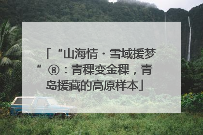 “山海情・雪域援梦”⑧：青稞变金稞，青岛援藏的高原样本