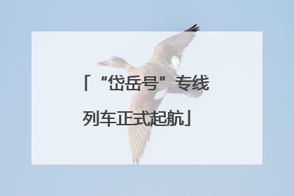 “岱岳号”专线列车正式起航
