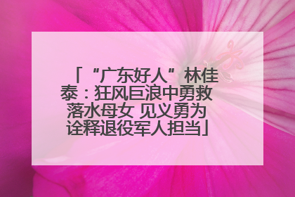 “广东好人”林佳泰：狂风巨浪中勇救落水母女 见义勇为诠释退役军人担当