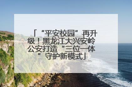 “平安校园”再升级！黑龙江大兴安岭公安打造“三位一体”守护新模式