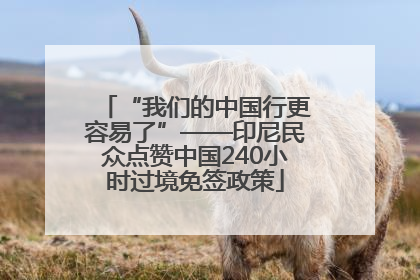 “我们的中国行更容易了”——印尼民众点赞中国240小时过境免签政策