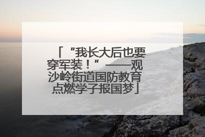 “我长大后也要穿军装！”——观沙岭街道国防教育点燃学子报国梦