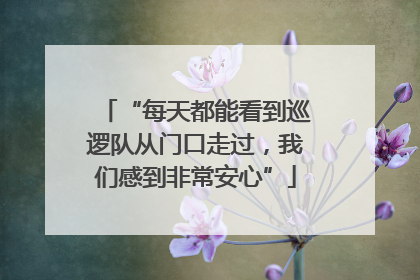 “每天都能看到巡逻队从门口走过，我们感到非常安心”