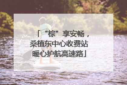 “棕”享安畅，桑植东中心收费站暖心护航高速路