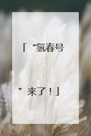 “氢春号”来了！