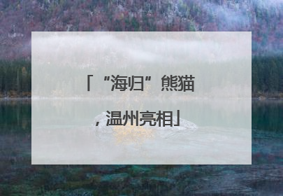 “海归”熊猫，温州亮相