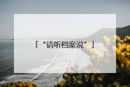 “请听档案说”