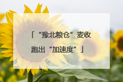 “豫北粮仓”麦收跑出“加速度”