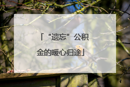 “遗忘”公积金的暖心归途