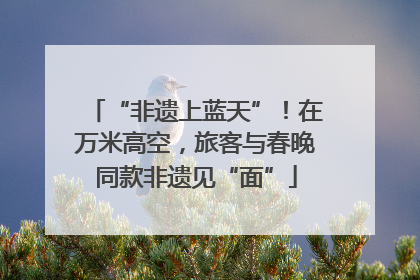 “非遗上蓝天”！在万米高空，旅客与春晚同款非遗见“面”