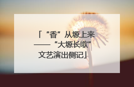 “香”从塬上来——“大塬长歌”文艺演出侧记