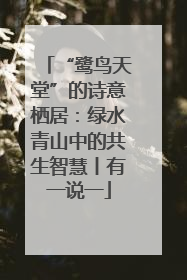 “鹭鸟天堂”的诗意栖居：绿水青山中的共生智慧丨有一说一