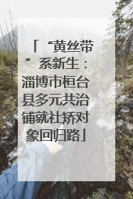“黄丝带”系新生：淄博市桓台县多元共治铺就社矫对象回归路