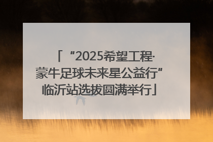 “2025希望工程·蒙牛足球未来星公益行”临沂站选拔圆满举行