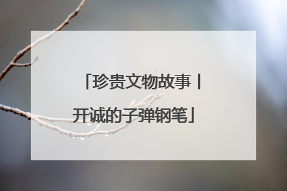 珍贵文物故事丨开诚的子弹钢笔