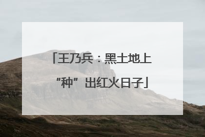 王乃兵：黑土地上“种”出红火日子