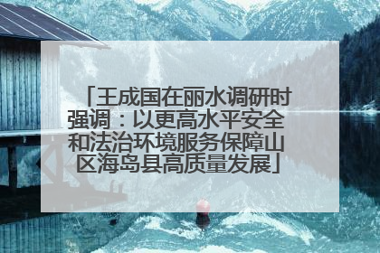 王成国在丽水调研时强调：以更高水平安全和法治环境服务保障山区海岛县高质量发展